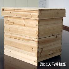 意蜂蜂箱-杉木-结实耐用