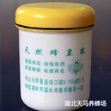 蜂王浆500g专用包装瓶-蜂产品包装-食品级环保