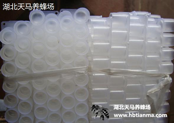王浆王台-王浆条-王浆杯-白色塑料-专业生产-养必备-王浆生产