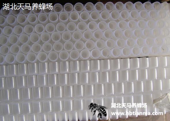 王浆王台-王浆条-王浆杯-白色塑料-专业生产-养蜂必备-王浆生产