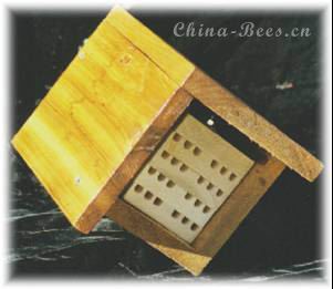 壁蜂的人工饲养与授粉应用技术