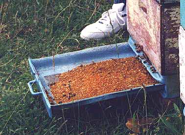 箱底式蜂花粉采集器
