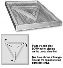 TriangleEscapeBoard