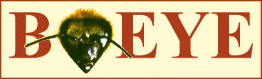 BeeEye（蜜蜂的视界）