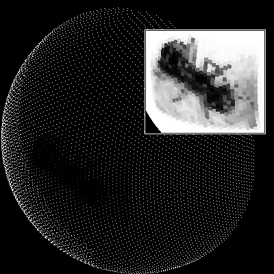 BeeEye（蜜蜂的视界）