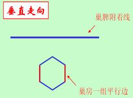 巢础机的设计依据