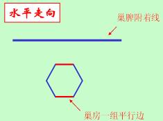 巢础机的设计依据