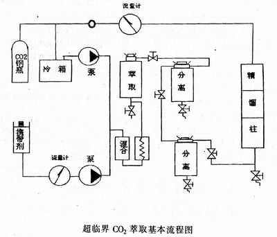 超临界流体技术及其设备与蜂产品加工