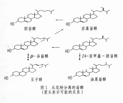 花粉的植物甾醇研究