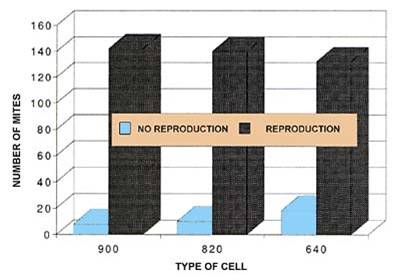 TheInfluenceofCellSizeinVarroaReproduction