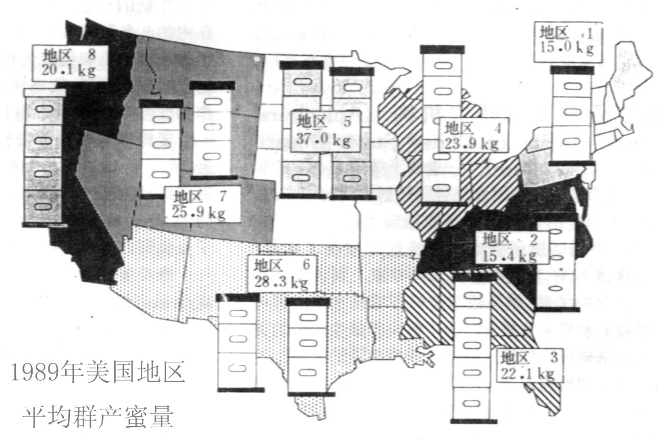 美国养蜂业