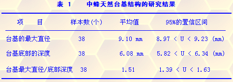 中华蜜蜂(Apisceranacerana)产浆台基的研究