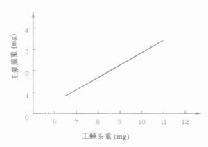 中华蜜蜂（A.c.cerana）工蜂头部重量与王浆腺重量相关性的研究