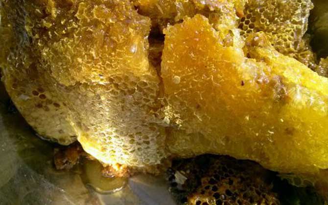 中蜂将蜂蜜完全酿制成熟后会用蜂蜡封存在蜂房中,因此蜜脾从蜂巢中取
